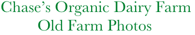        Chase’s Organic Dairy Farm
                Old Farm Photos