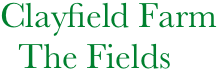        Clayfield Farm
         The Fields