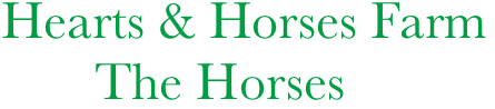Hearts & Horses Farm
       The Horses
