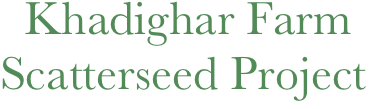   Khadighar Farm
Scatterseed Project