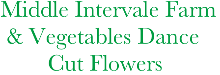Middle Intervale Farm
 & Vegetables Dance
        Cut Flowers