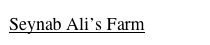 Seynab Ali’s Farm